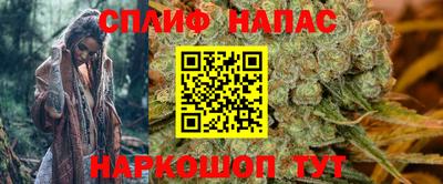 спайс Обь