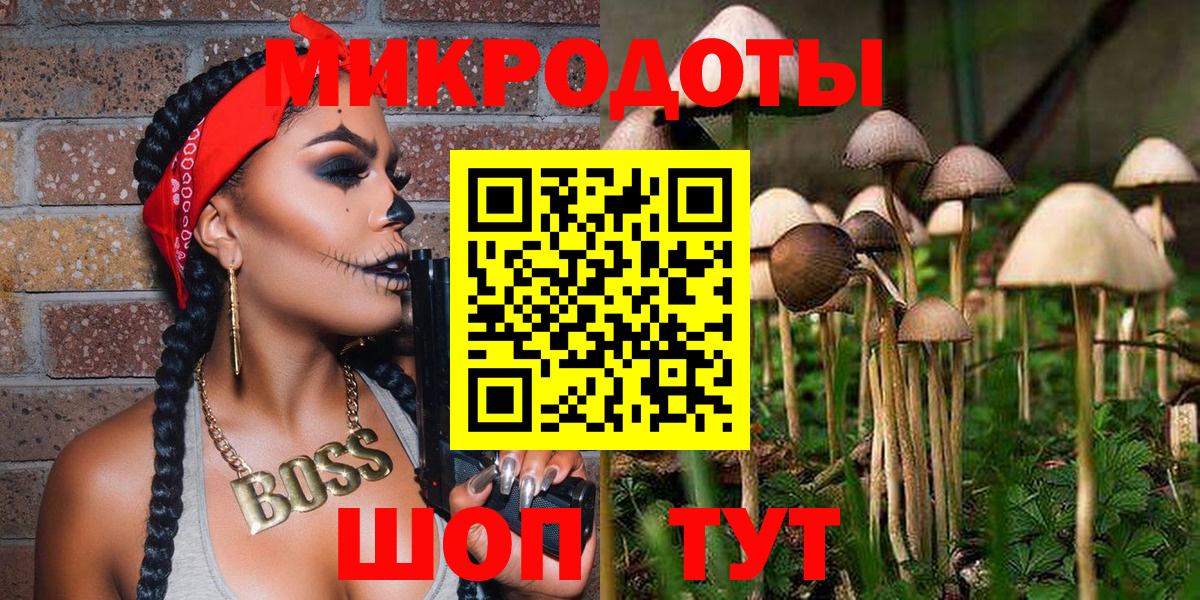 Россошь  Галлюциногенные грибы прущие грибы  Вход с VPN 
