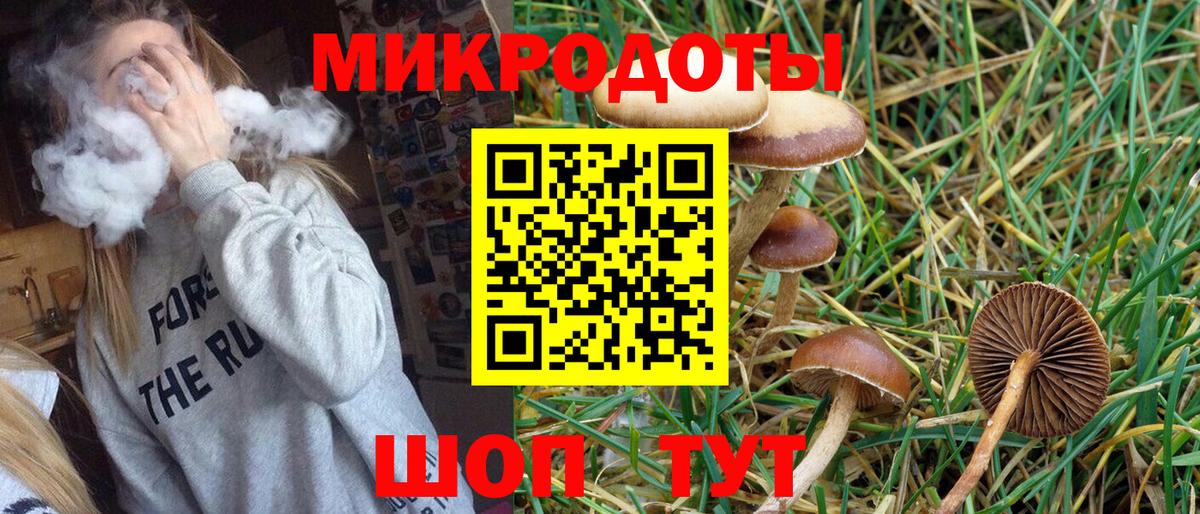 Галлюциногенные грибы Cubensis Россошь